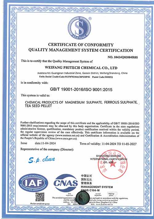 ISO 9001